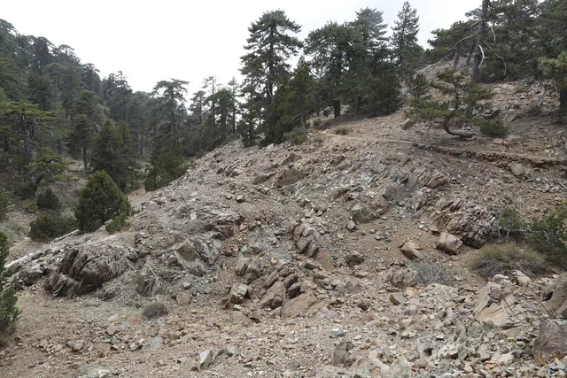 Artemis Trail