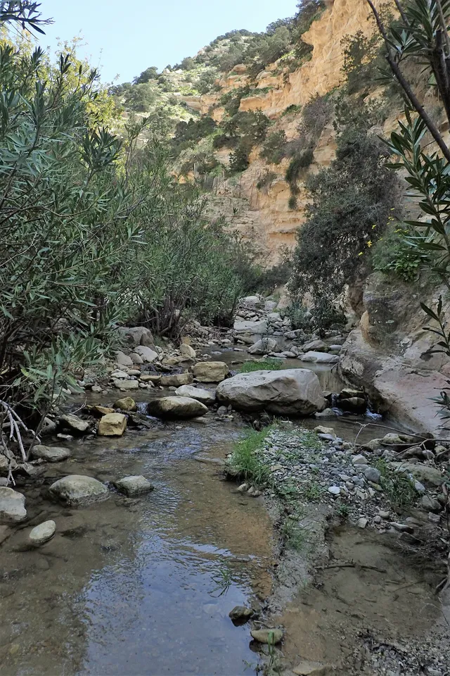 Avakas Gorge