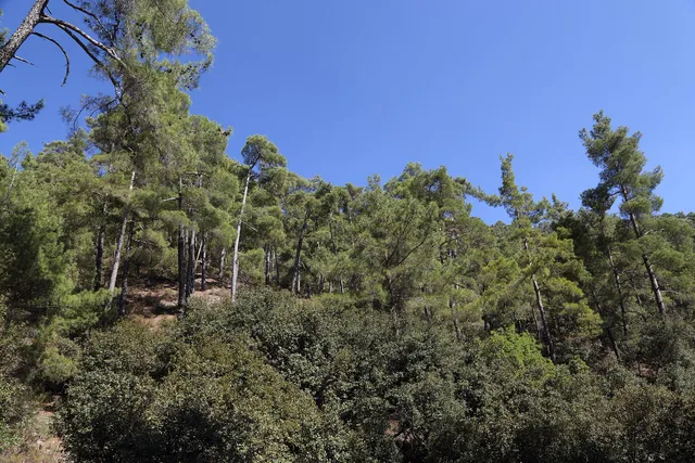 Chorteri Nature Trail