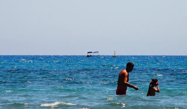 Dog Beach