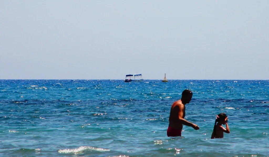 Dog Beach