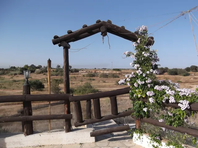Donkey farm