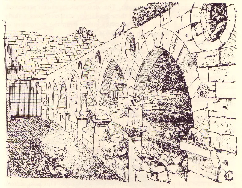 Holy Monastery of St Nicholas of the Cats