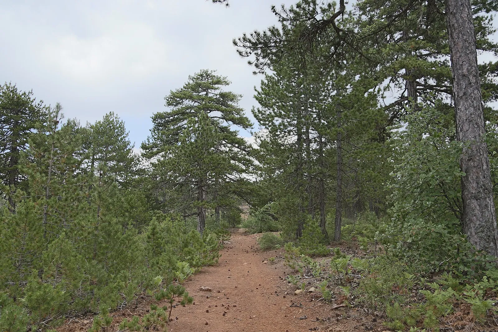 Livadi Nature Trail