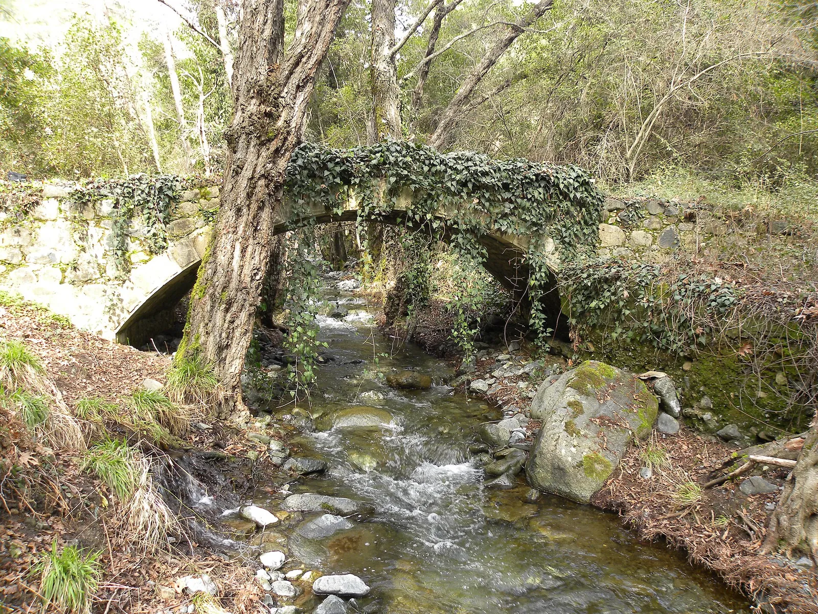 Milia mediaval bridge trail