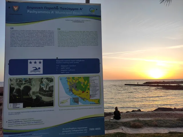 Pachyammos Beach