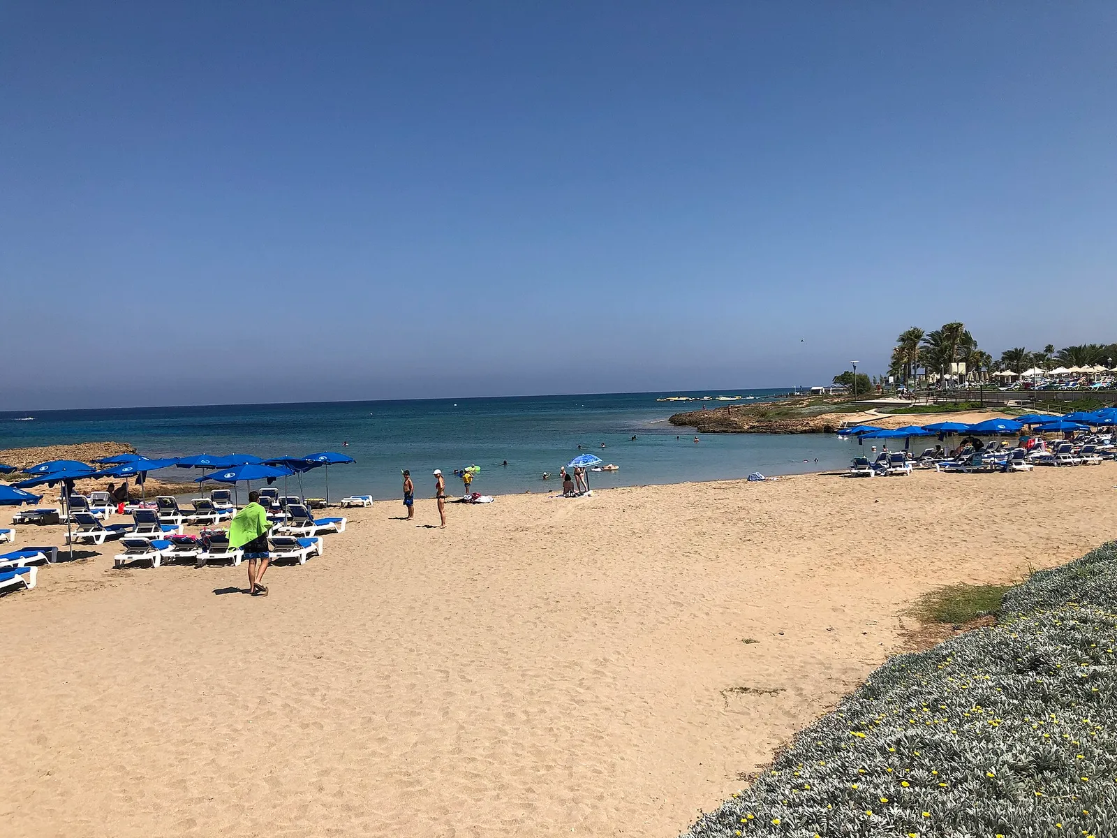 Polyxenia Beach
