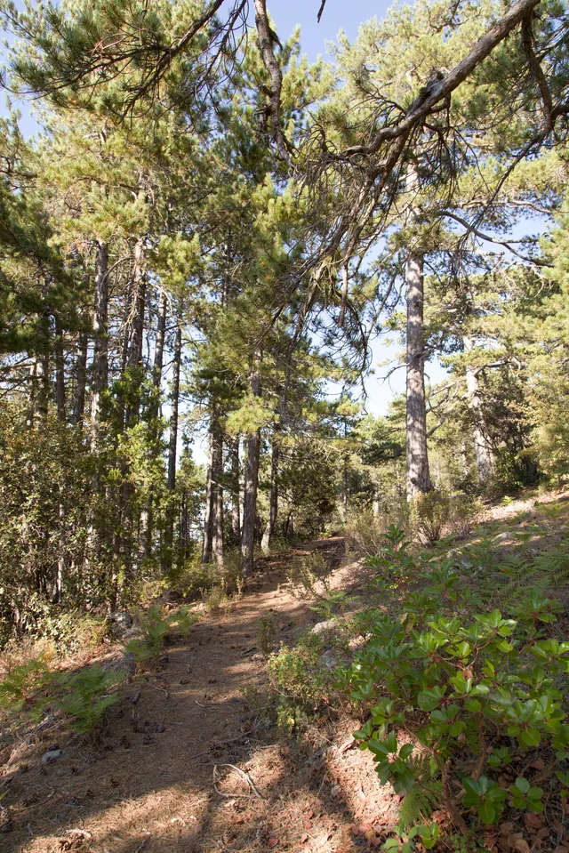Prodromos Zoumi Nature Trail