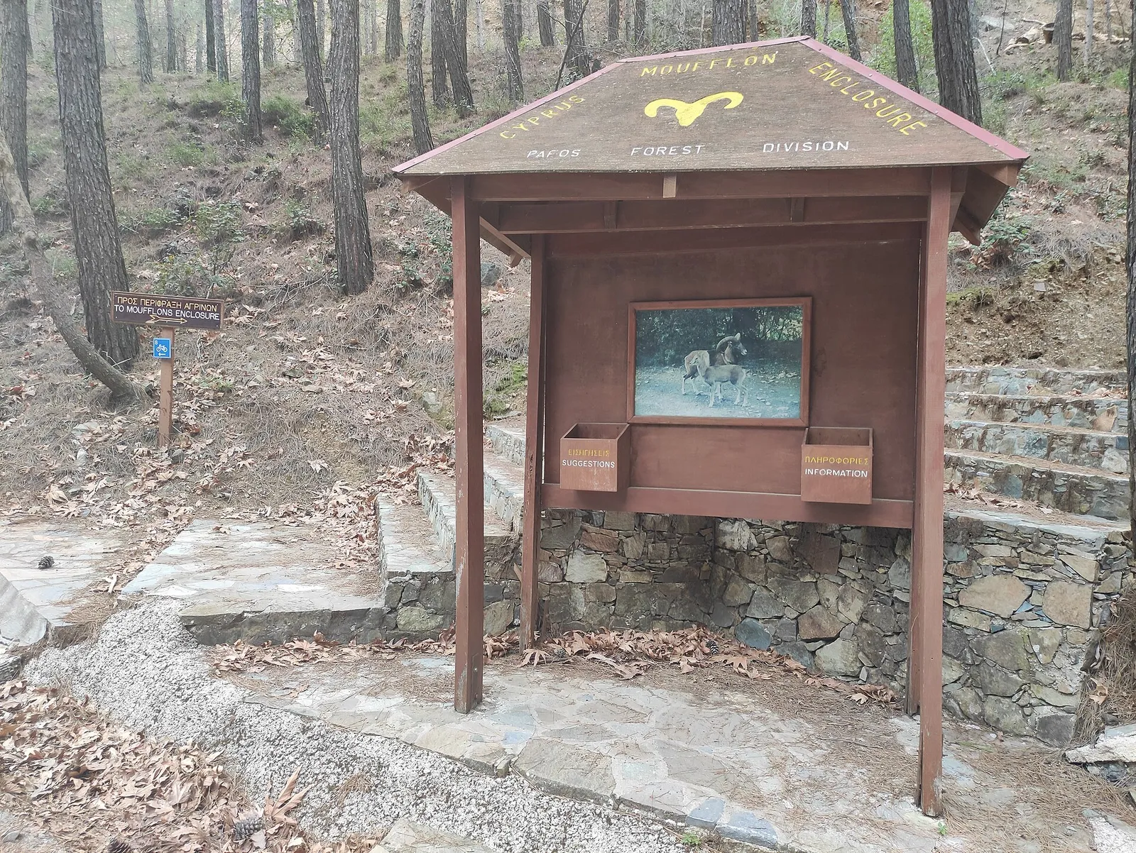 Stavros tis Psokas Mufflon Enclosure
