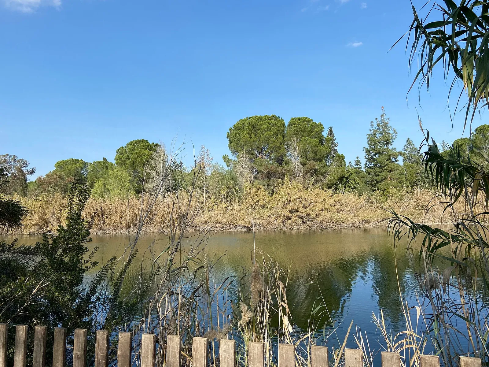 Visitors Centre of the Athalassa National Forest Park