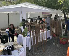 Afamia Festival 2026 @ Koilani