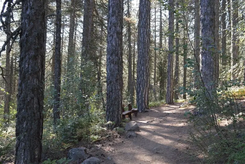 Autumn Hike on the Highest Peaks of Troodos