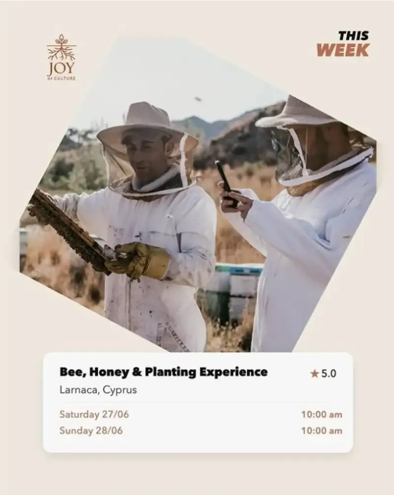 Bee, Honey and Planting Experience