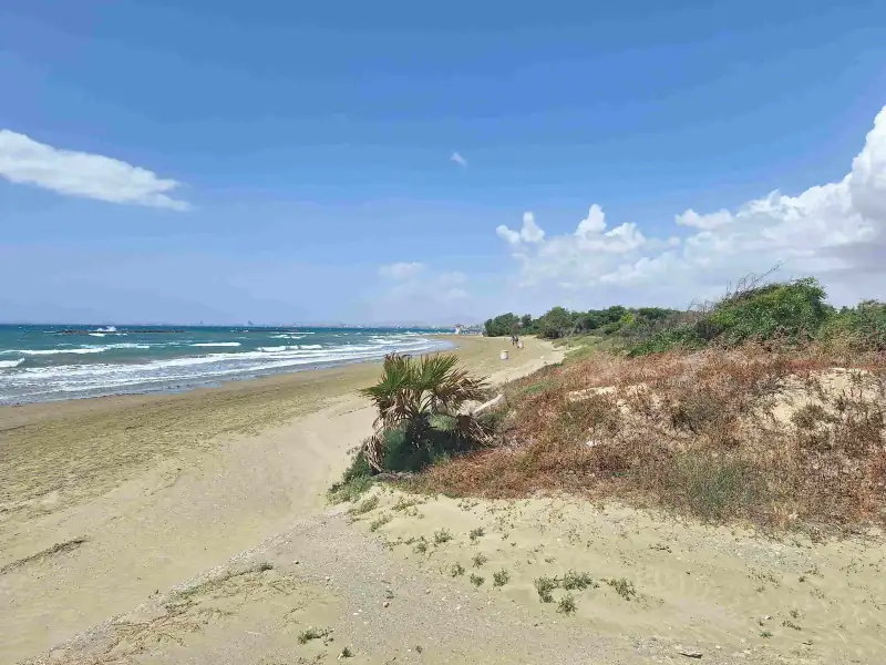Coastal Walking & Beach BBQ: Sunset Adventure in Larnaca