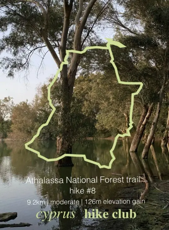 Cyprus Hike Club: Athalassa National Forest Trail Hike in Nicosia