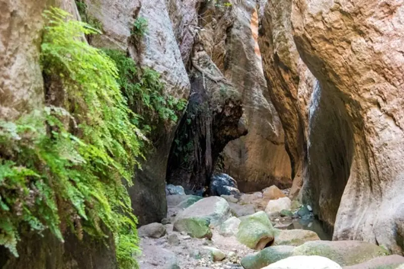 Excursion & Hike at Avakas Gorge
