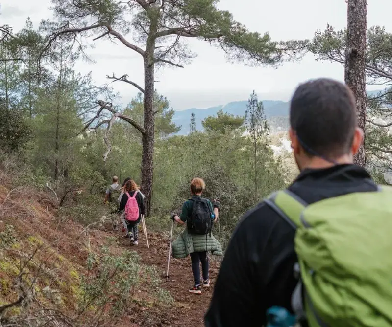Mountain Games Cyprus 2026: Sport, Culture & Healthy Living in Troodos