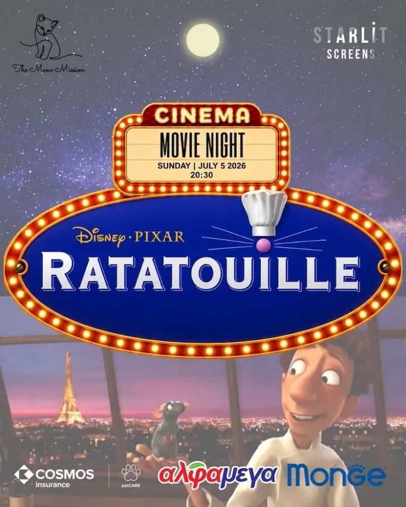 Open Air Cinema – Ratatouille
