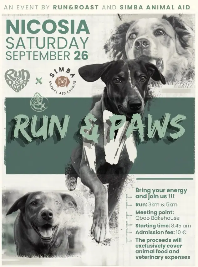 Run & Paws: Charity Run for Shelter Dogs in Nicosia