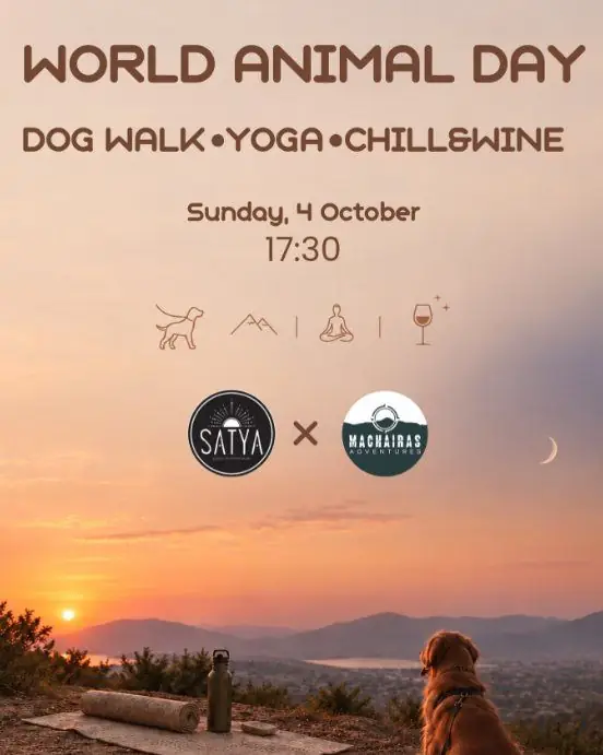 World Animal Day: Dog Walk, Yoga & Wine at Machairas