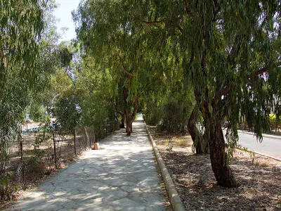 Forest Beach, Dhekelia Road