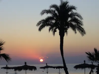 Lush Beach Bar