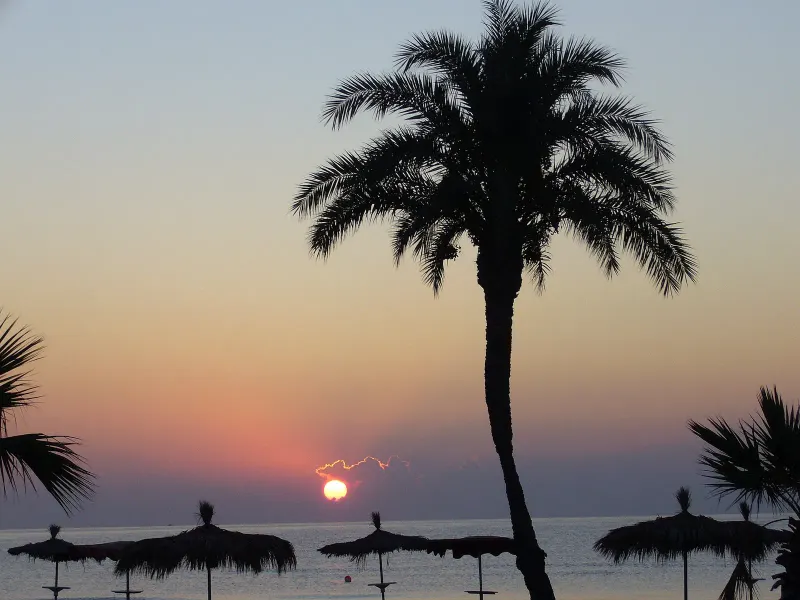Lush Beach Bar