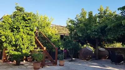 Secret Garden