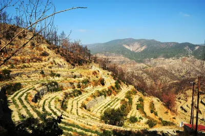 Tsiakkas Winery